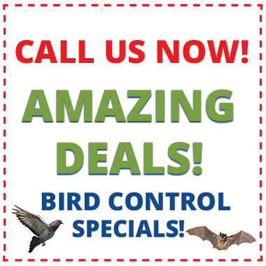 Montoya Trapping Services  Birds Coupons